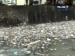 Sampah Tersapu Banjir Tebarkan Aroma Tak Sedap