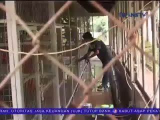 Ragunan Tolak Pelihara Monyet Hasil Razia