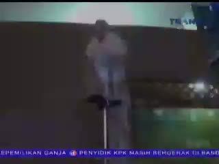 Ayam Onagadori, Ayam Langka Berekor Panjang