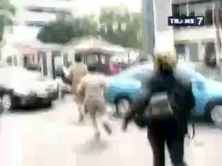Monyet Razia, Menanti Janji Habitat Baru
