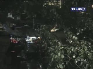 Pohon Tumbang Timpa Taksi