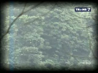 Penjaga Hutan dari Desa Selat