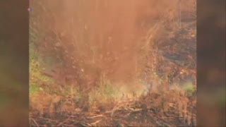 Desainer Kolombia Bikin Sepatu yang Bisa Menyelamatkan Nyawa