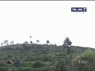Senja Sunyi Nenek Pembuat Teh