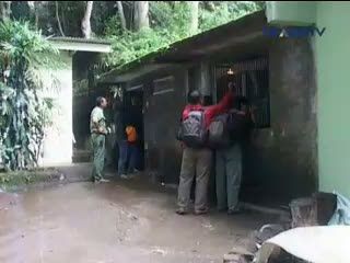 Kelahiran Bayi Orang Utan di Prigen