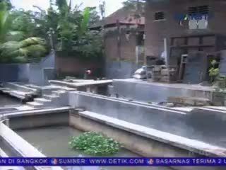Raup Ratusan Juta dari Ikan Sidat