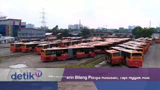 Soal Bus Lokal, Ahok: Kemenperin Bilang Punya Ratusan, Tapi Nggak Ada