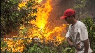 Curah Hujan di Bawah Normal, Kabut Asap Meningkat