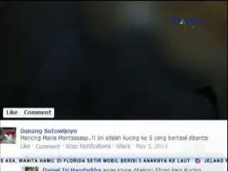 Dilaporkan ke Polisi, Penembak Kucing Mengaku Siap Dihukum