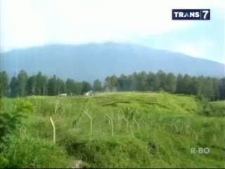 Waspada, Gunung Slamet Keluarkan Abu