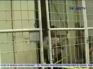 Seorang Pria Tewas Dilukai Perampok