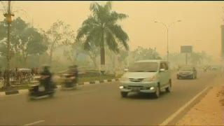 Video Pemandangan Kabut Asap di Pekanbaru