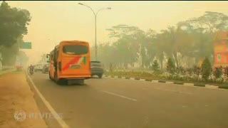 Kabut Asap Riau, SBY Janji Turun Tangan Langsung