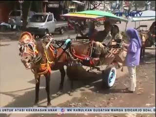 Kuda Delman Diperiksa Kesehatan