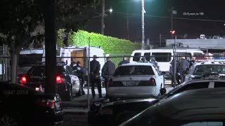 Polisi Amerika Tangkap Komplotan Maling Bagasi di Bandara