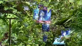 Sadar Dapat Nomor Buntut, Caleg NasDem Ini Percaya Kekuatan Turba Sadar Dapat Nomor Buntut, Caleg NasDem Ini Percaya Kekuatan Turba