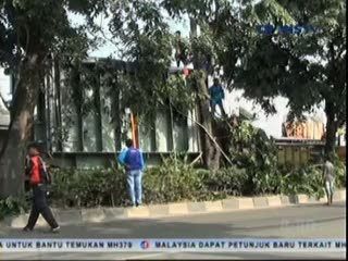 Sopir Ngantuk, Truk Kontainer Tabrak Pohon