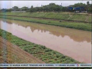 Warga Menanam Sayuran di Bantaran Kali