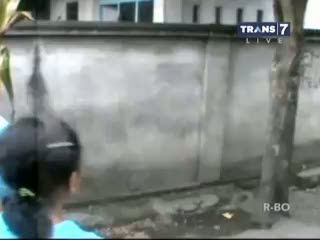 Wabah Ulat Bulu, Warga Gatal-gatal dan Mengungsi