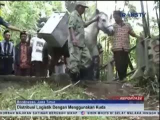 Medan yang Sulit, Distribusi Logistik Menggunakan Kuda