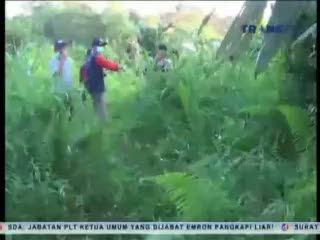Penemuan Mayat Wanita Tinggal Tengkorak Gegerkan Warga