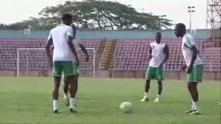 Calon Kuda Hitam di Brasil