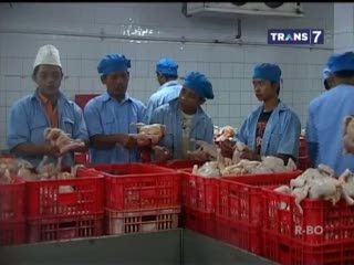 Belum Tentu Halal, Ayam Potong Tetap Laku