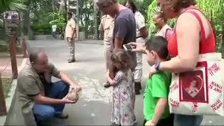 Menjadi Maskot Piala Dunia, Armadillo Primadona di Kebun Binatang