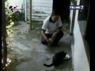 Terapi Pijat Hewan dari Kucing Hingga Ular Phyton