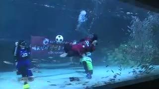 Bermain Sepak Bola Dikerumunan Ikan Sarden