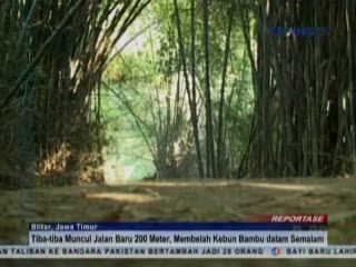Warga Blitar Dihebohkan dengan Munculnya Jalan Baru di Kebun Bambu