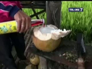 Slurrrp... Segarnya Es Kelapa Kopyor Andalan Berbuka