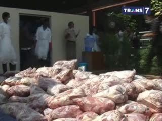 7,4 Ton Daging Celeng Dimusnahkan