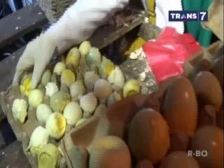 Ribuan Telur Busuk Disita Petugas