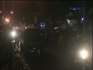 3 Monyet Misterius Lepas, Pemilik Monyet Konon akan Beri Imbalan Rp 10 Juta/Ekor