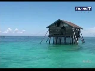 Ini Pesan Nelayan yang Tinggal dengan Ratusan Ular bagi Pelestarian Alam