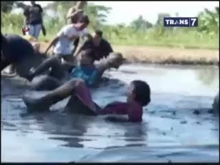 Serunya Lomba Menarik Istri di Lumpur Jelang HUT RI