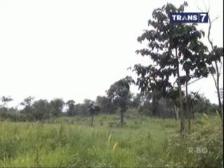 1 Keluarga Tinggal di Gubuk Pohon