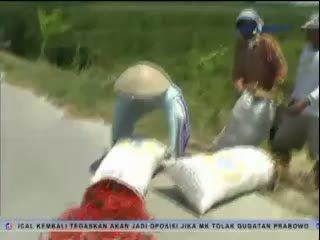 Kesal Harga Anjlok, Petani Buang Cabai ke Jalan