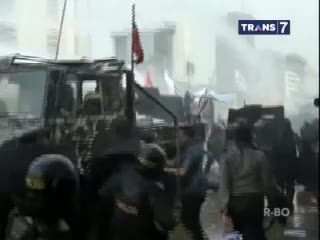 Perda Baru, Rusak 1 Pohon Denda 80 Pohon