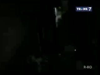 Bercelana Pendek, Pencuri Gasak Toko Mainan