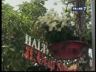 Bunga dan Tanaman di Lampu Penerangan Menambah Cantik Kota Surabaya