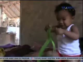 Balita 3 Tahun Ini Gemar Bermain dengan Ular Berbisa