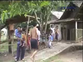Korban Serangan Monyet Liar Bertambah 2 Orang
