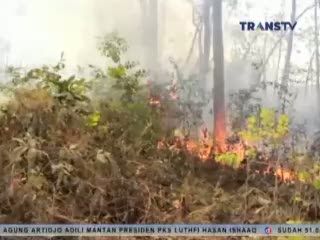 1 Hektar Hutan Jati Terbakar