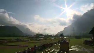 Uniknya Kejuaraan Dunia Menebang Pohon