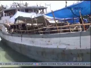 9 Ekor Sapi Mati Kepanasan di Dalam Kapal