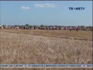 Pesawat Latih Jatuh di Persawahan, Pilot Tewas di Lokasi