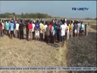 Jasad Wanita Belia Setengah Telanjang Ditemukan di Areal Sawah