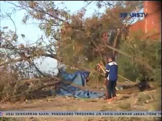 Setia Menunggu Suami Menjala Ikan, Wanita Ini Tewas Tertimpa Pohon